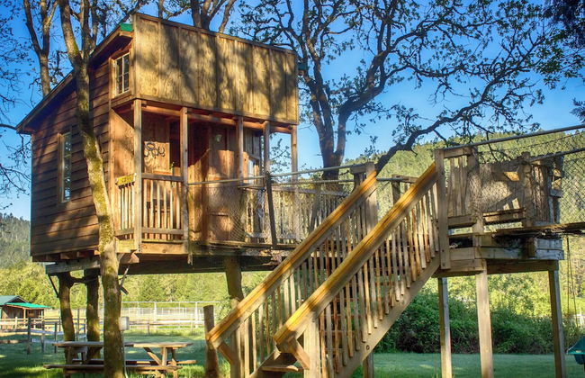 Out 'N' About Treehouse Treesort - Foto 11