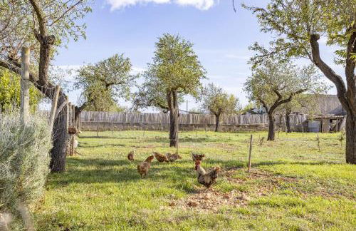 Finca Sa Tanqueta Rústica - Foto 36