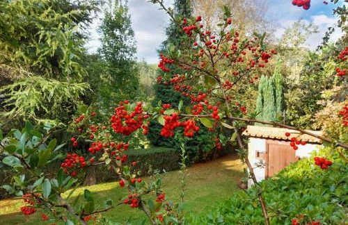 CASA DE CAMPO LAS ROZAS - Foto 3