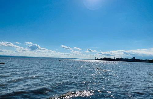 " Sunshine am See " - Foto 15