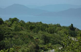 House Gecko - Mount Pelion - Foto 22