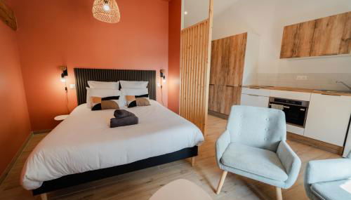 Vina Rhona - Studio de charme tout équipé entre Rhône et Vignobles de Condrieu - Foto 3