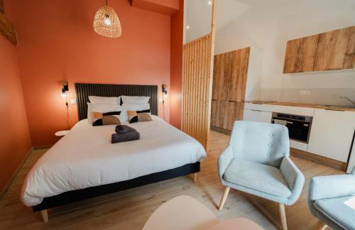 Vina Rhona - Studio de charme tout équipé entre Rhône et Vignobles de Condrieu - Foto 3