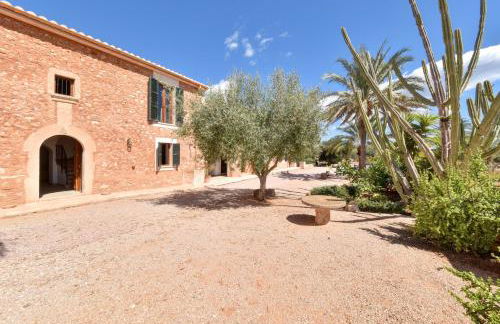 Finca Sonduri - Foto 51