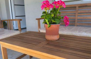 Araucaria studio Manis - Foto 20