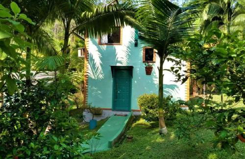 Sitio Libardo em Meio a Natureza - Nova Trento - Foto 110