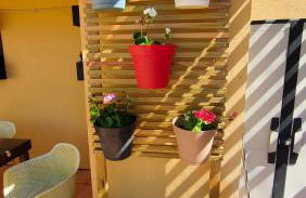 WHAT a fish - Foto 18