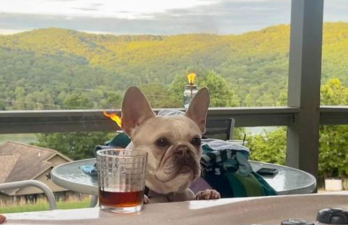 HappyDaze Condo: Lake/Ridge Views; Hot Tub; Pool - Foto 25