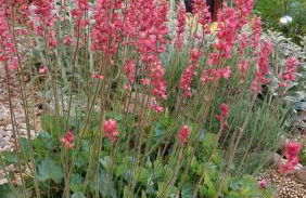 Ferienwohnung zur Saaleaue - Foto 1