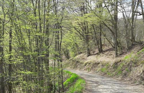 Main building Neumühle - Foto 16