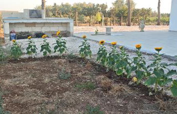 Villetta della Pace nel cuore del Salento - Foto 27
