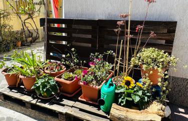 Carol Home - Foto 22