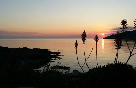 Carpe Diem Port de la Selva - Foto 10