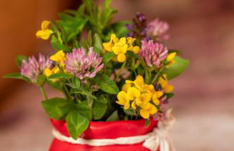 Zacisze Babci Ludwisi w Beskidzie Niskim - Photo 17