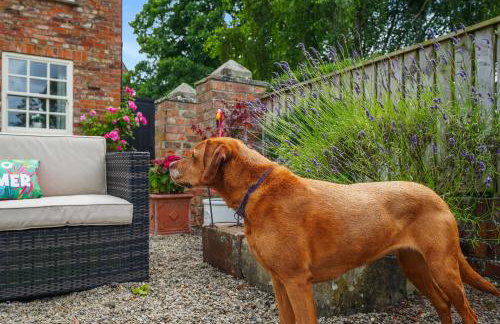 Manor Cottage - Foto 73