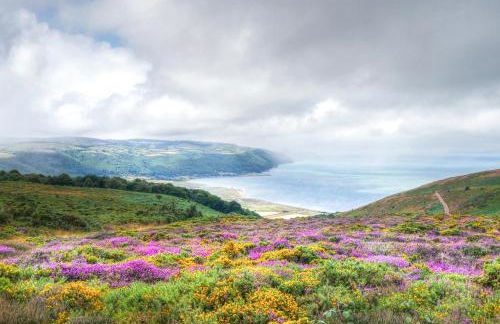 The Old Sweet Shop - Photo 30