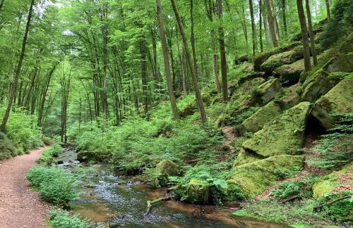 Luxusapartment Burgschänke - Foto 27