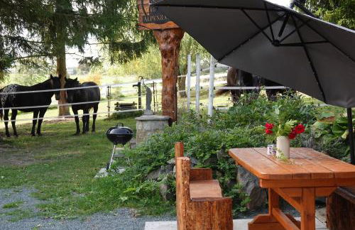 Alpenranch - Foto 22