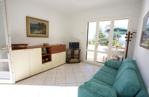 Bougainvillea Primo Piano - Goelba - Foto 12