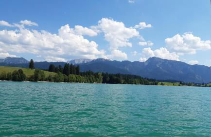 Beim Winkel Max - Photo 20