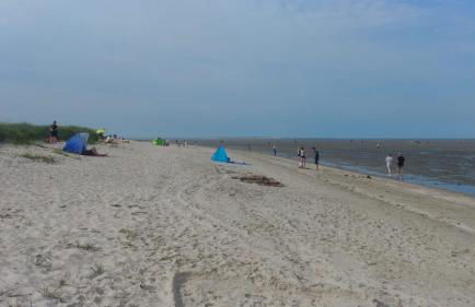 Ferienwohnungen Koch EG adult only - Photo 12