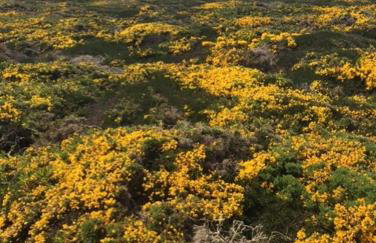 Belle vue sur mer - Foto 26