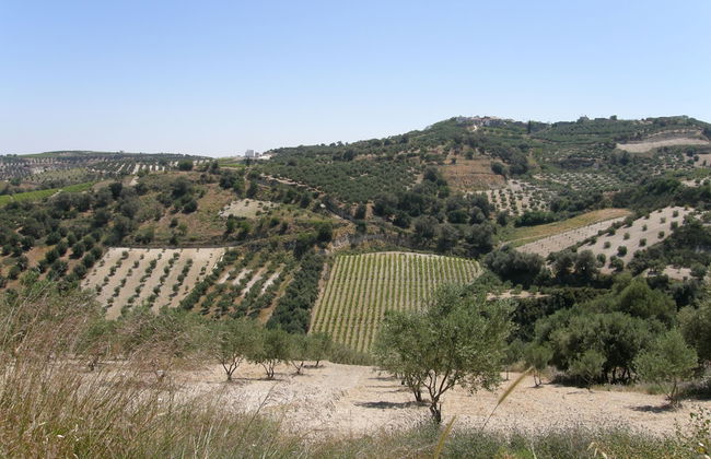 Christina Villas - Foto 52