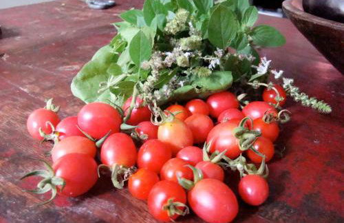 Casa Crudo, PRIVACIDADE NA MATA ATLÂNTICA, piscina, trilhas e descanso - Foto 62