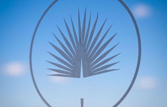 Las Palmeras del Califa - Foto 43