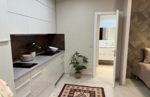 Extraordinaire grand studio au centre 6 minutes à pied de la plage et l'hôtel Negresco - Foto 15