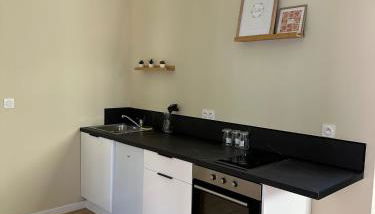 Appartement 2 chambres gare chateaucreux - Foto 4