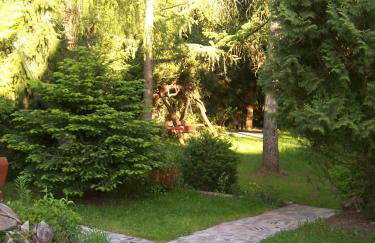 Domek Letniskowy na Mazurach - Foto 2