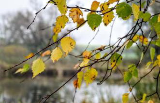 Skorzęcin Pachnie Miętą - Foto 43