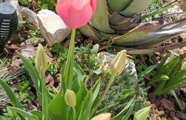 Nafplio Lodge - Foto 63