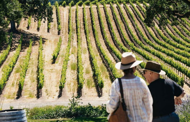 Excursión a los valles de Napa y Sonoma - Foto 2