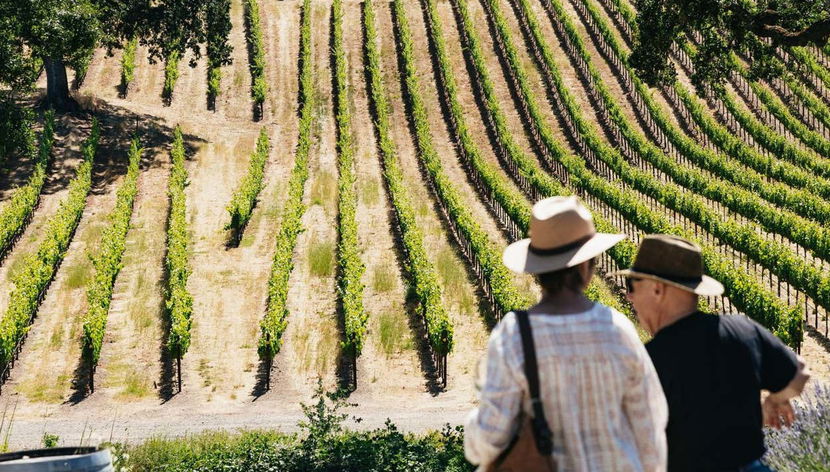 Excursión a los valles de Napa y Sonoma - Foto 2