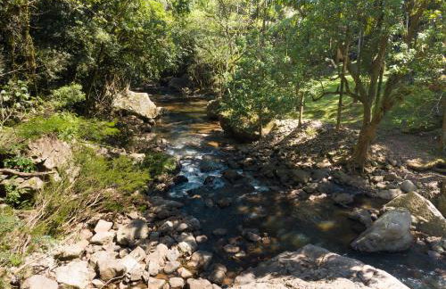 Canto da cascata - Foto 57