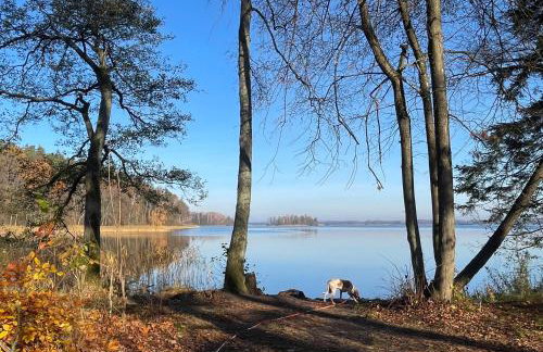 Żurawi klangor - dom z sauną i jacuzzi - Foto 33