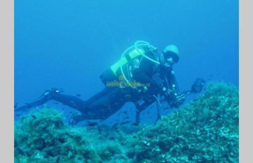 Casa, sol y playa 365 días!! - Foto 30