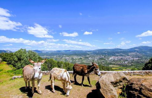 Lovely Home In Privas With Sauna - Foto 26