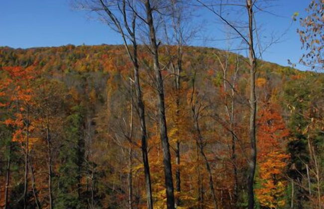 Canopy Escape by Taylor Made Deep Creek - Foto 23