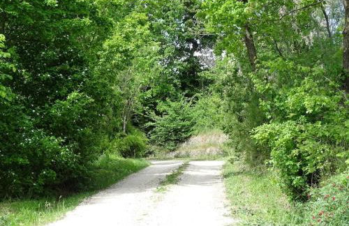 Villa Ca' Doccio Holiday - Photo 20