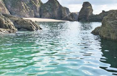 Cosy Beachside Cottage 100m from Challaborough Beach - Foto 32