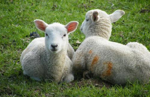 Arden Country House - Foto 30