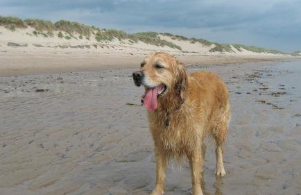 StoneLaw Cottage - Foto 9