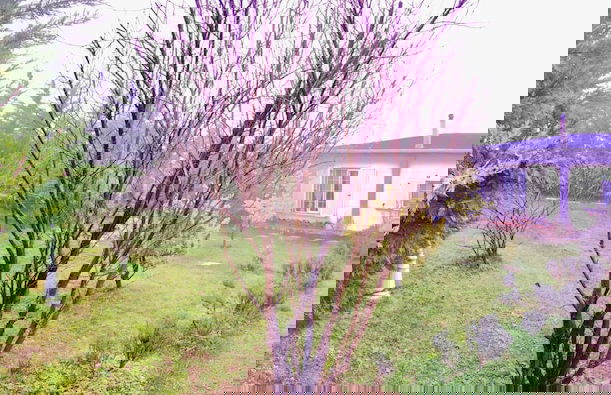 Villa Gudca - Foto 42