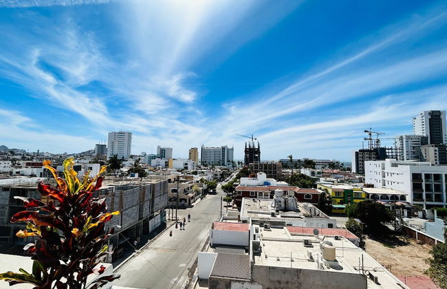 Flamingos - Photo 15