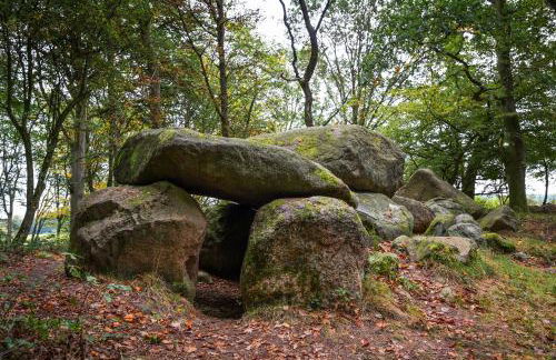 Schöne Ferienwohnung im Erholungsort Sternberg - Foto 30