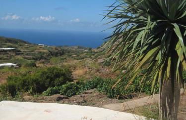 Dammusi IL SERRALH -Pantelleria- - Foto 56