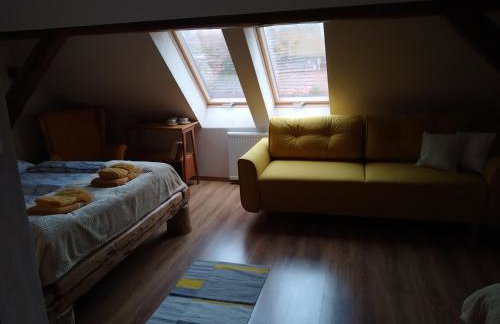 Skotopaska - Foto 21